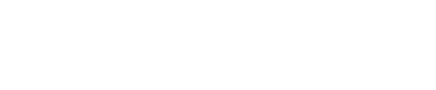 Item 1