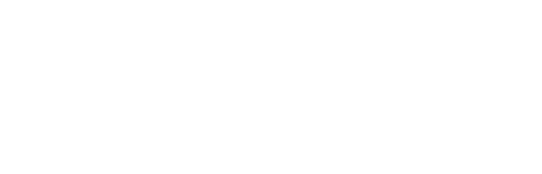 Item 1